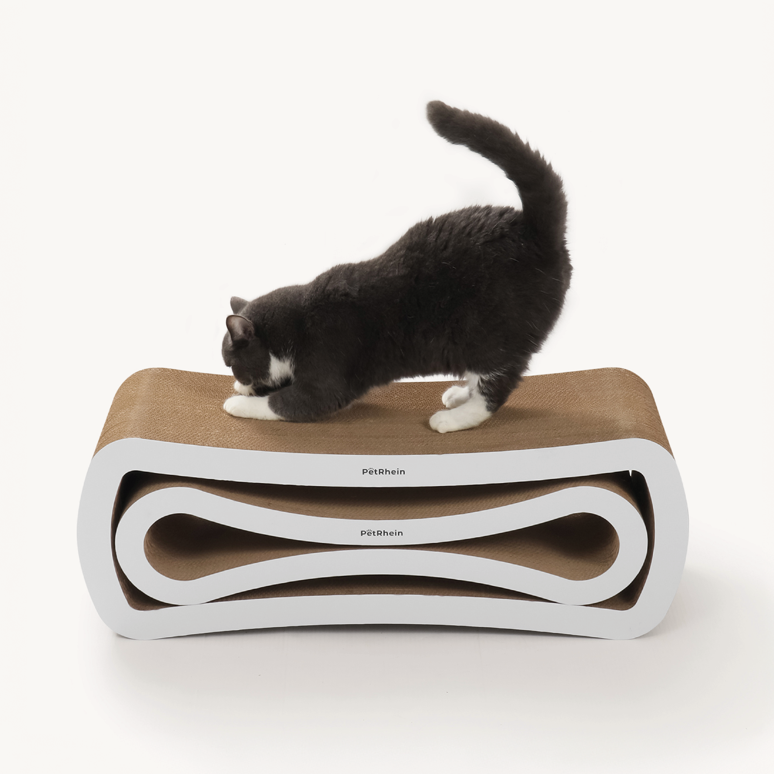 Ascent Paw Series