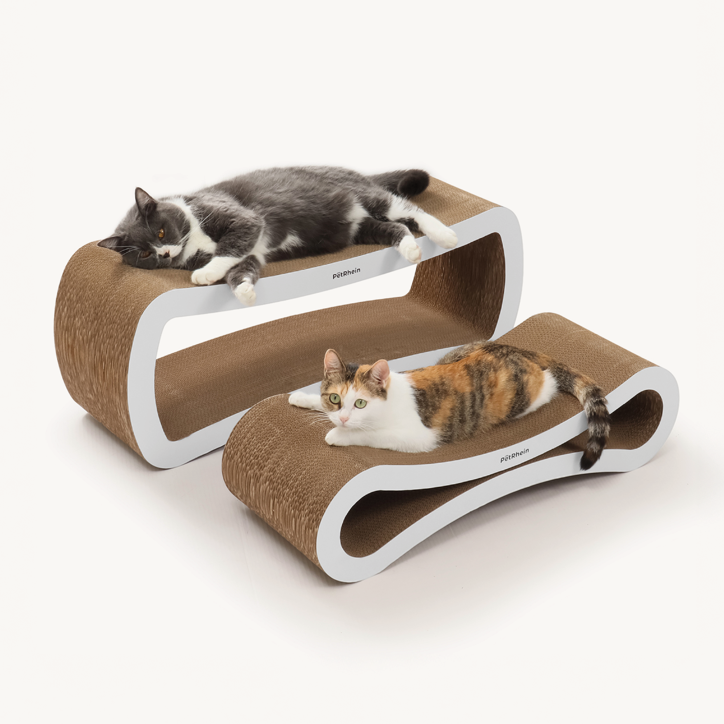 Ascent Paw Series