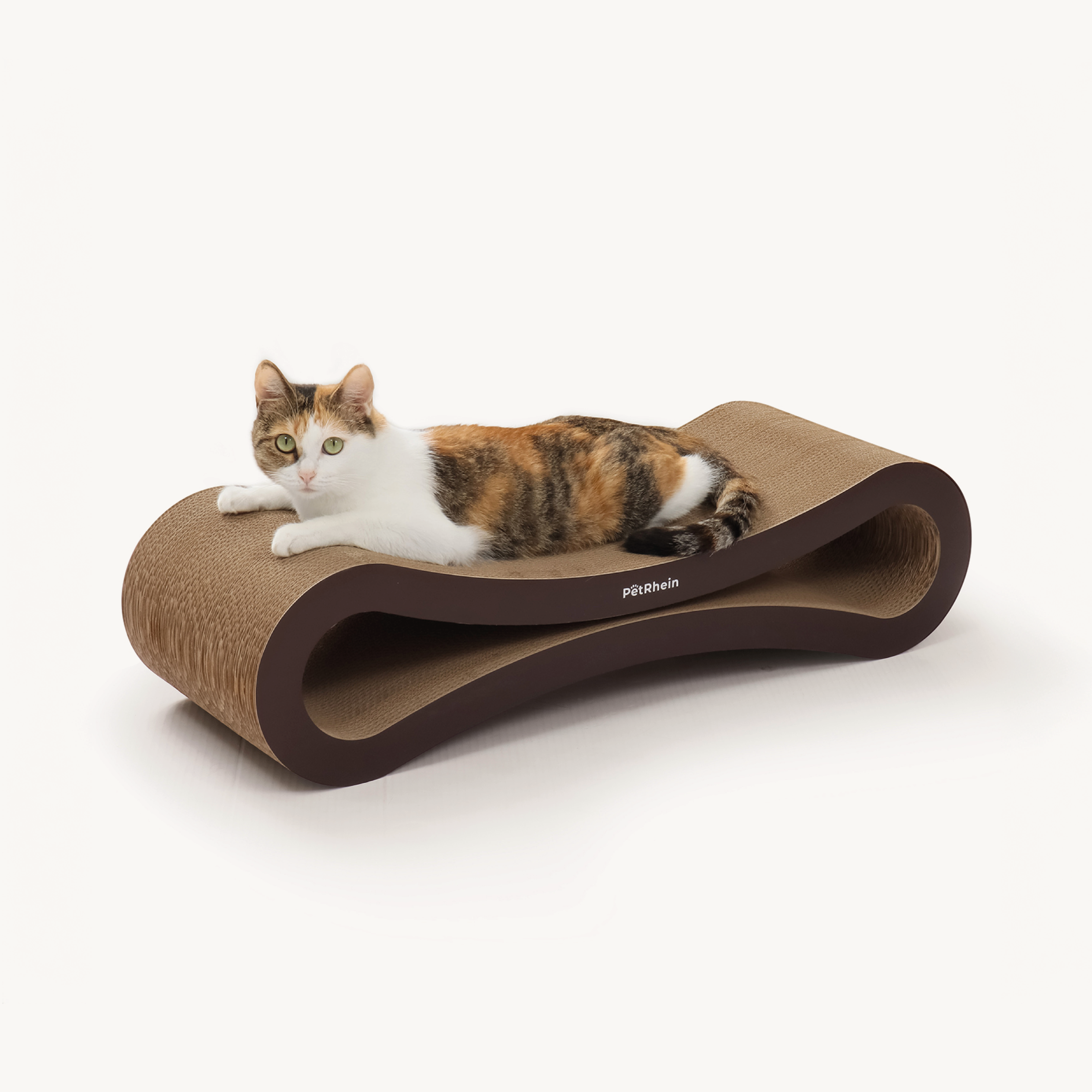 Ascent Paw Series
