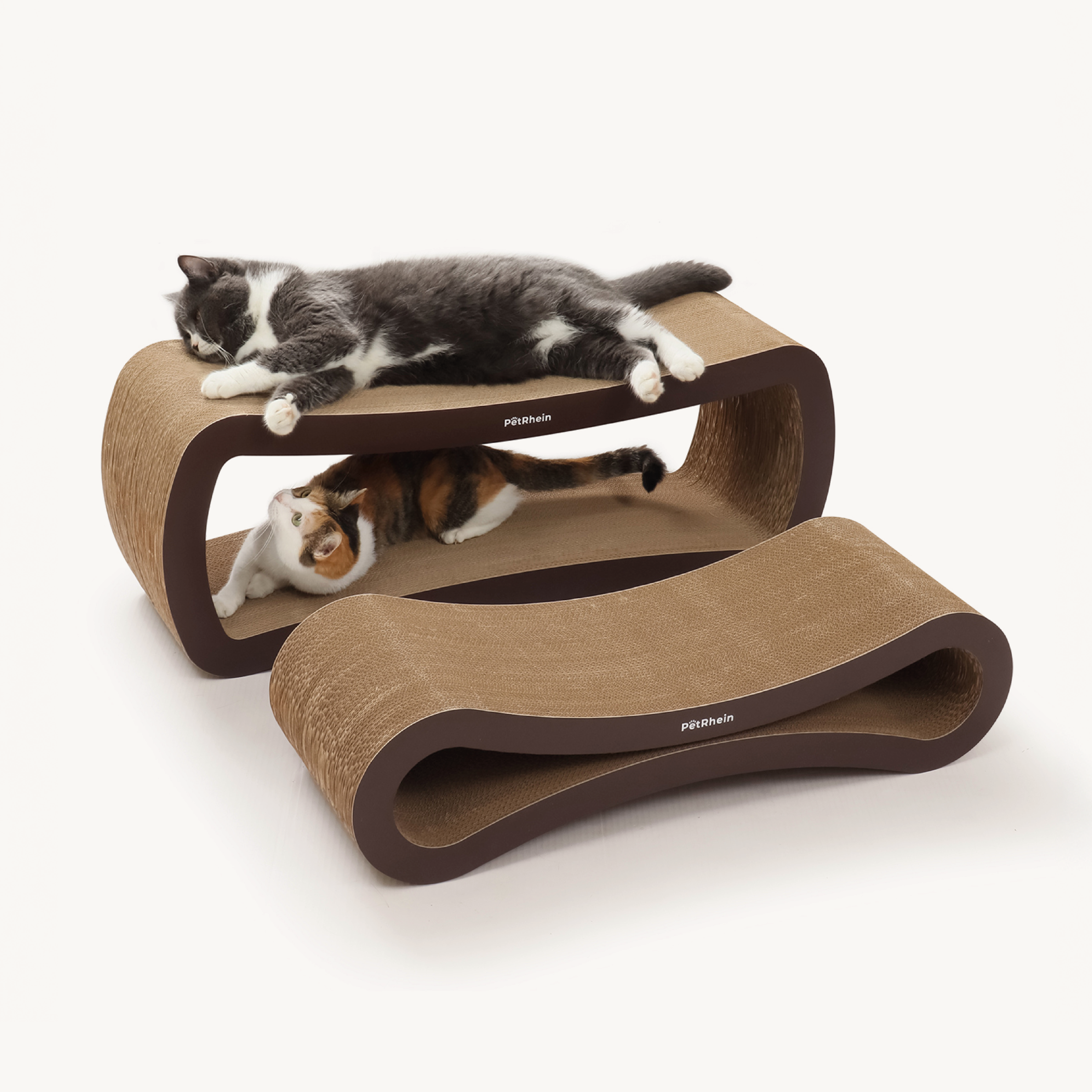Ascent Paw Series