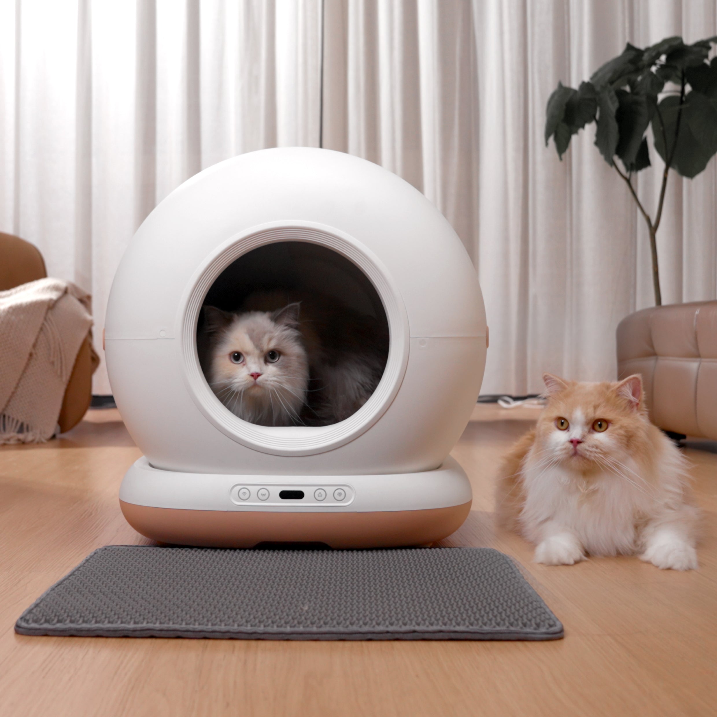 Toilette intelligente autonettoyante pour chat série Neptune 