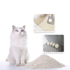Catsplan advanced