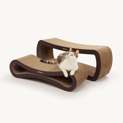 Ascent Paw Series 