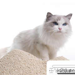 Catsplan originale 